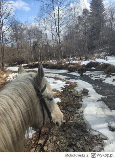 Mokotowski - @_______________________ pozdrawiam