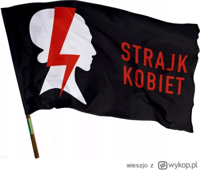 wieszjo - Szanujesz HL za brak kobiet w karcie walk? PLUSUJESZ! ( ͡° ͜ʖ ͡°)
#famemma