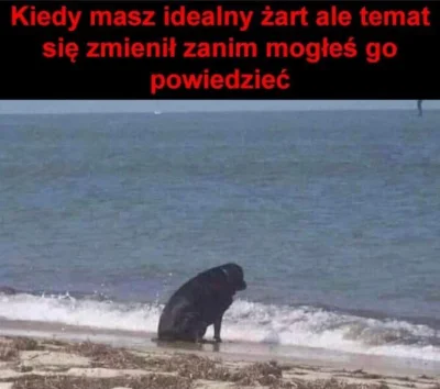 nextlvl - #heheszki #humorobrazkowy