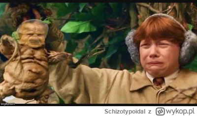 Schizotypoidal - #harrypotter #2137