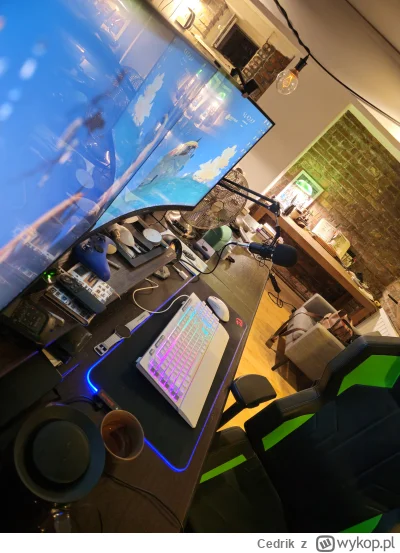 Cedrik - Mircy, zależy mi na poleceniu dobrego mikrofonu, który nie kosztuje milionów...