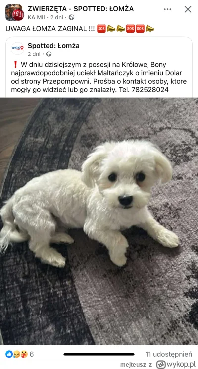 mejteusz - #fredikamionka Dropnął nowy zawodnik, myślę że godny przeciwnik dla Fredie...