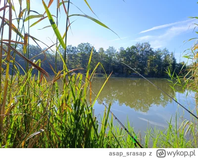 asap_srasap - #wedkarstwo jak kocham Dolny Śląsk, to wedkarsko jest to trzecia liga. ...