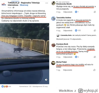 WielkiNos - Psiarze uczłowieczają już psy do takiego stopnia, że myślą, że psy rzucaj...