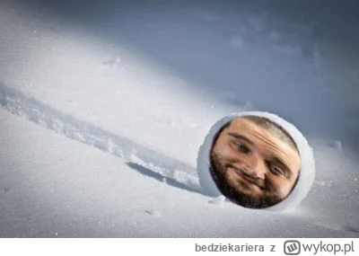 bedziekariera - @alekongo: