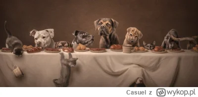 Casuel - @Casuel: Katie Brockman (Stany Zjednoczone), Kolacja. Współczesna, psia inte...