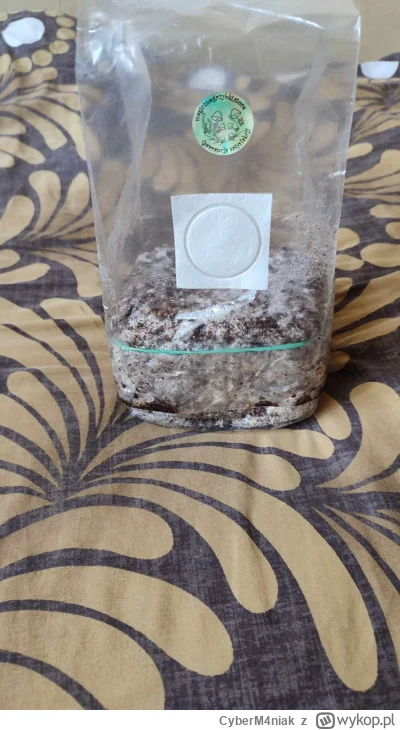 CyberM4niak - Tym razem worek full auto albino p---s envy pipes( ͡º ͜ʖ͡º) 
#growkit #...