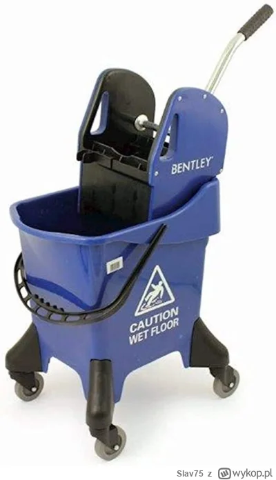 Slav75 - To jeszcze zalezy jaki model, co niektore mozna kupic calkiem tanio ...