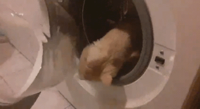 RicoElectrico - Sławosz Uznański-Wiśniewski wraca na Ziemię z lotu na międzynarodową ...