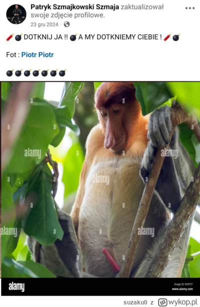 suzaku0 - #konkursnanajbardziejgownianymemznosaczem