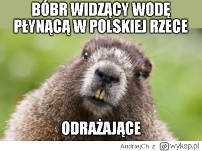 AndriejCh - Ej, dzisiaj jest dzień bobra

#bober #bobr