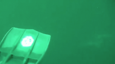 wfyokyga - buzi buzi 
#trzecieoko