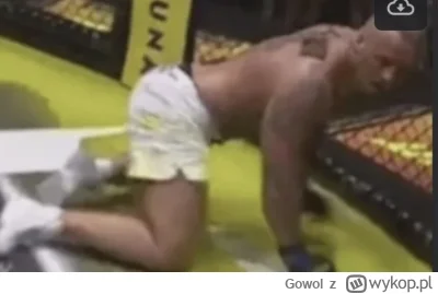 Gowol - @MarcinE45: na pieska. Zdjęcie niepowiązane