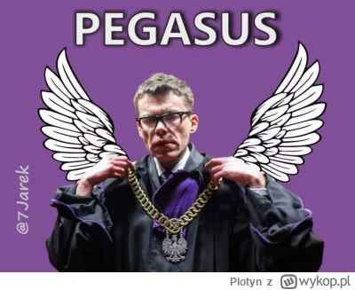 Plotyn - #polityka #sejm #pegasus #bekaztuska