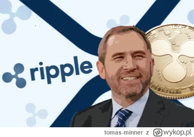 tomas-minner - Brad Garlinghouse: „Dogecoin nie przynosi realnych korzyści branży kry...