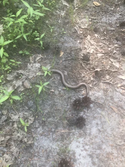 ChlopoRobotnik2137 - #spierdotrip