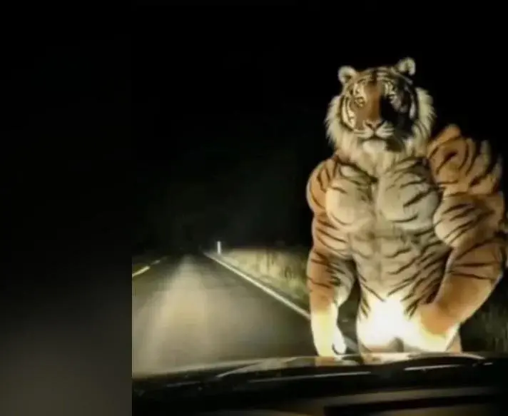 semilanceata - @PolsartNews: