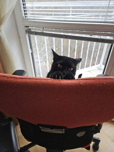 RicoElectrico - @YaGo_: no nie wiem...