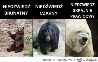 kolegazsasiedztwa - #heheszki #bekazlewactwa #humorobrazkowy #4konserwy