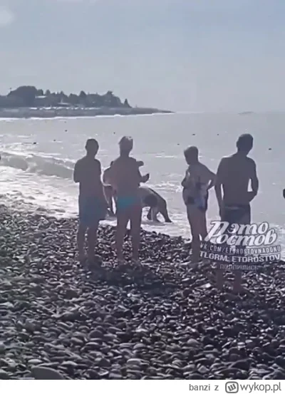 banzi - A Ty czym bawisz się na plaży? Soczi, kacapia.

https://streamable.com/0hc1cf...