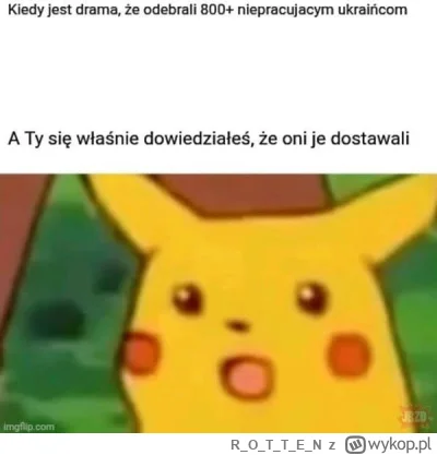 ROTTE_N - #heheszki #polska