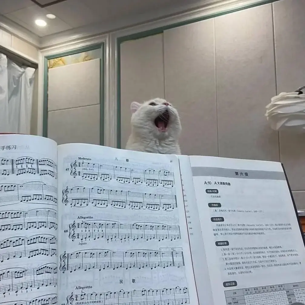 wfyokyga - EEEEEEEEEEEEEAAEEEEEEEE