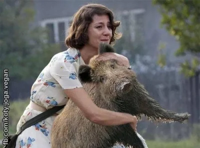 niemo - #polityka i tak się będzie żyć na tej prowincji  UE jeszcze z 20-30 lat :-(