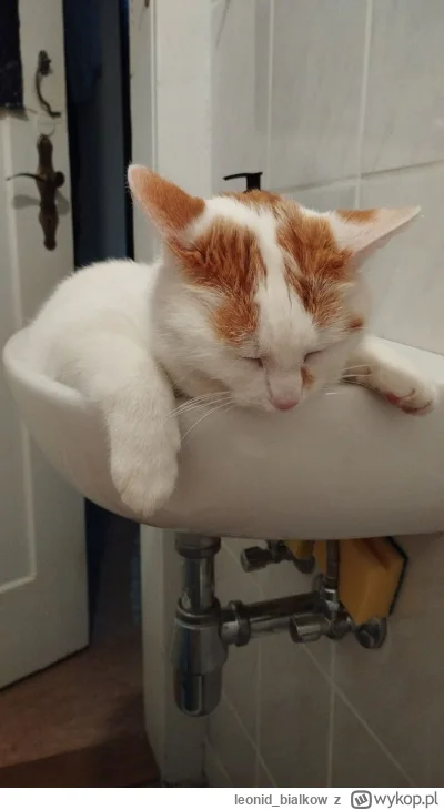 leonid_bialkow - @wfyokyga: cze dla cb