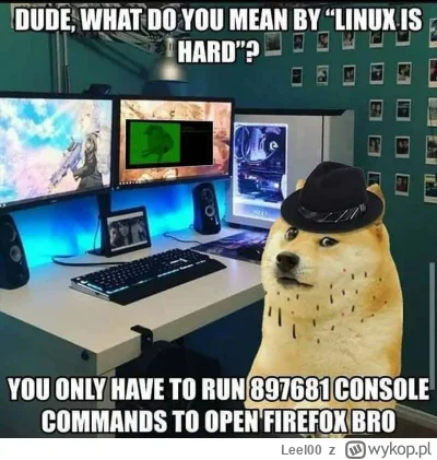 Leel00 - Podsumowanie wątku: