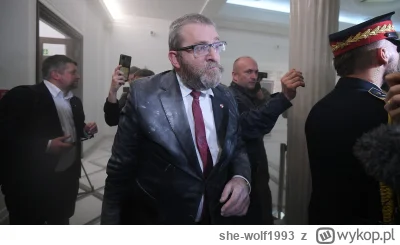 she-wolf1993 - Jedyna merytoryczna partia w Sejmie 

#bekazkonfederacji #bekazprawako...