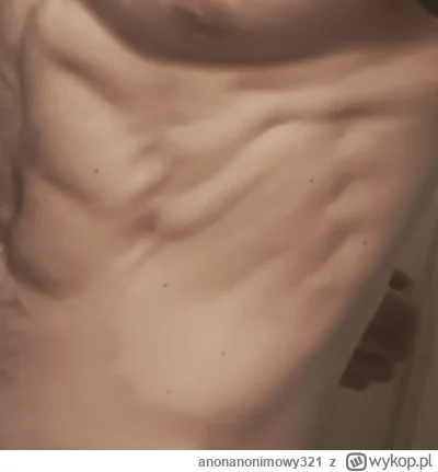 anonanonimowy321 - Chłop wychudzony po nieudanej redukcji i wojsku, siła nawet do -20...