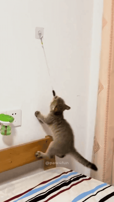 jestemtakizmeczony - @jestemtakizmeczony: