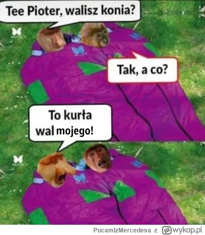 PucamIzMercedesa - #konkursnanajbardziejgownianymemznosaczem