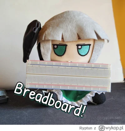 Ryptun - Czy fumo potrafi w elektronikę?

#fumo #touhou #elektronika #elektroda #mang...