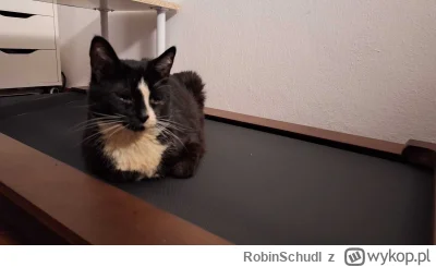 RobinSchudl - @jiddlo znalazła sie prawie zamarznięta jak miała ok. tygodnia 5 lat te...