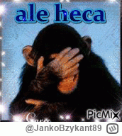 JankoBzykant89 - @Flapjadzek: