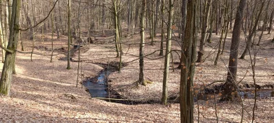 KladzSie - Ciek #spierdotrip