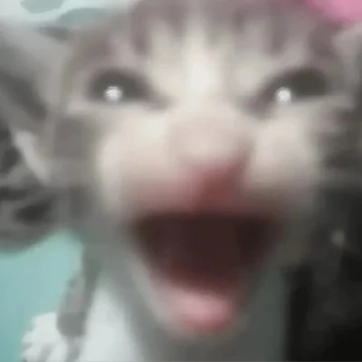 wfyokyga - AAAAAAAAAAAAAAAAAAAAAAA