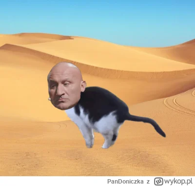 PanDoniczka - Srający kot na pustyni ( ͡° ͜ʖ ͡°)
#famemma #cloutmma