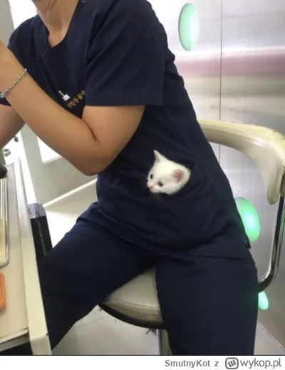 SmutnyKot - #dziwnekotki