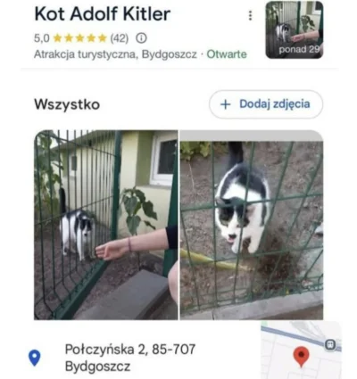 Atreyu - #podroze #zwiedzajzwykopem #kotu #kitku #czarnyhumor #ocieplaniewizerunkuado...