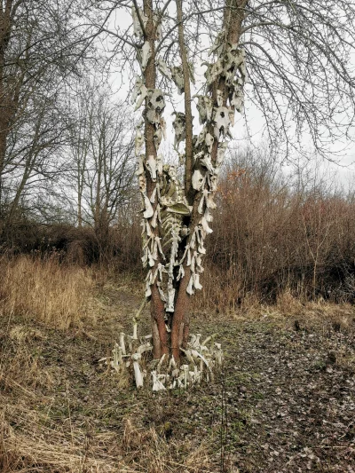 SatanWasa_Babyboomer - Już ostatnie zdjęcie z #spierdotrip

#podroze #przegrywpo30tce