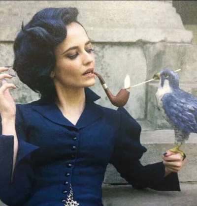 wfyokyga - Papug dej ognia wariacie