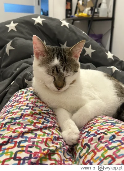 vvn81 - u mamuni mu najlepiej