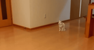 jestemtakizmeczony - @jestemtakizmeczony: