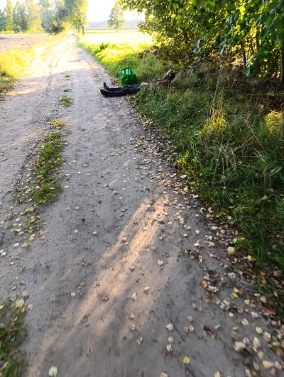 ryoku88 - #przegryw #dupeczkizprzypadku idę se bez pole i huop se leży, zapytałem czy...