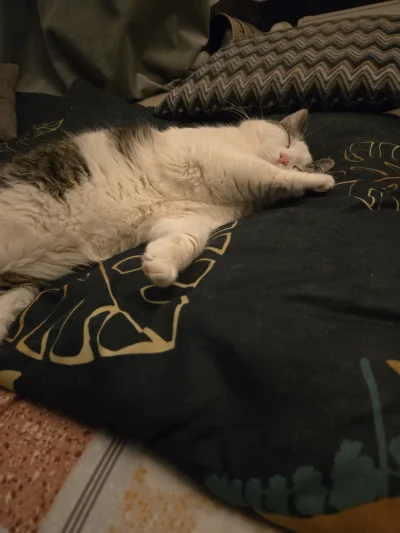 Solsith - @Niemamcytoplazmy: masz jak w banku( ͡° ͜ʖ ͡°)