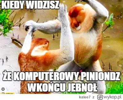 kalee7 - I am simple man, I see this I press buy #kryptowaluty