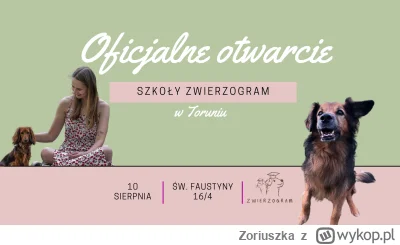 Zoriuszka - Różowa otworzyła niedawno szkołę dla psów w #torun - szkolenia z psich sp...