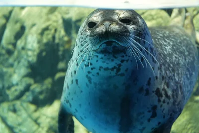 almete - jak moge sobie usprawiedliwic zakup tokarki